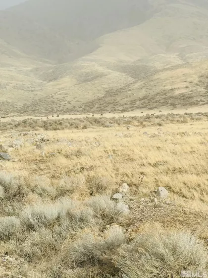 T29 Sec 15, Lovelock, Nevada 89419, ,Land,Residential,Sec 15,250001296