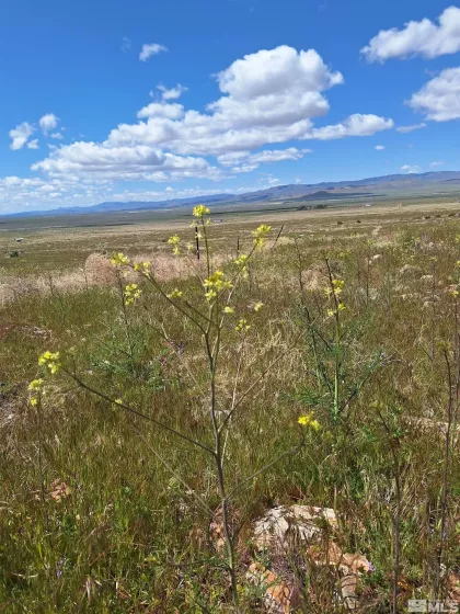 T29 Sec 15, Lovelock, Nevada 89419, ,Land,Residential,Sec 15,250001296