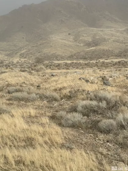 T29 Sec 15, Lovelock, Nevada 89419, ,Land,Residential,Sec 15,250001296
