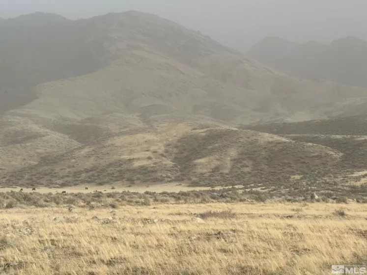 T29 Sec 15, Lovelock, Nevada 89419, ,Land,Residential,Sec 15,250001296