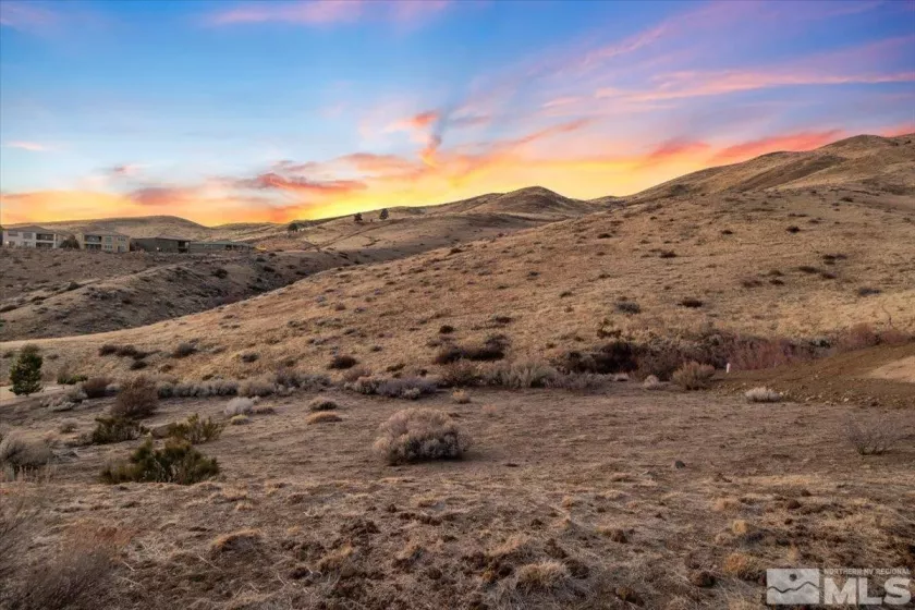 8673 Eagle Chase, Reno, Nevada 89523, ,Land,Residential,Eagle Chase,250001125