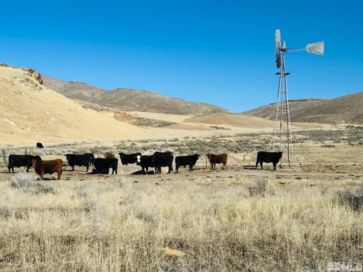 T26 Sec 1, Lovelock, Nevada 89419, ,Land,Residential,Sec 1,250000810