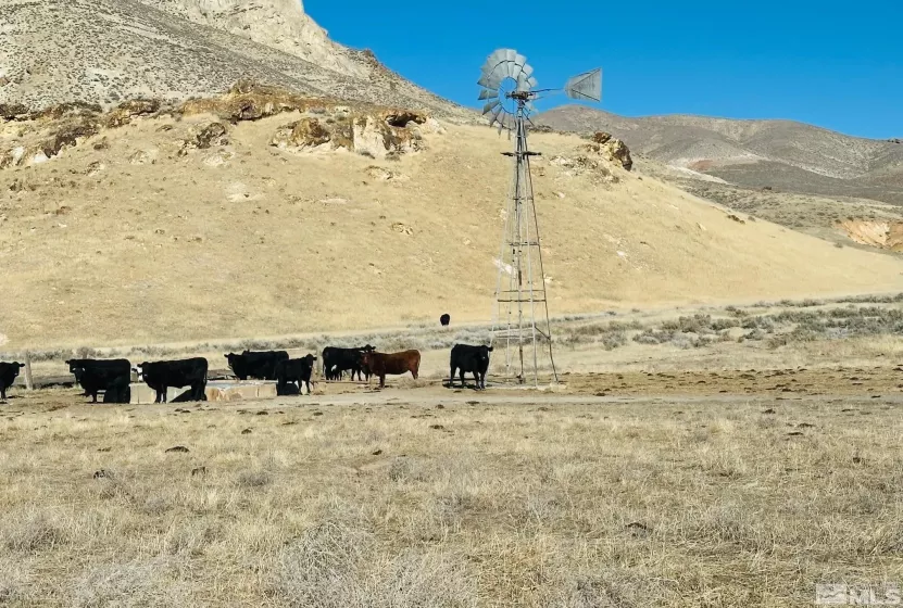 T26 Sec 1, Lovelock, Nevada 89419, ,Land,Residential,Sec 1,250000810