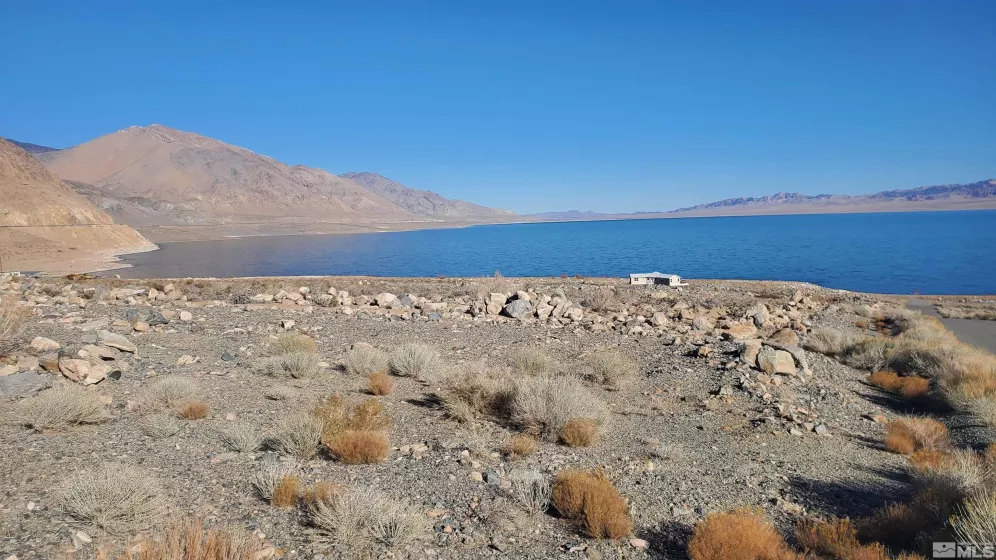 102 Shores, Walker Lake, Nevada 89415, ,Land,Residential,Shores,250000534