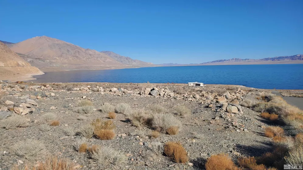 102 Shores, Walker Lake, Nevada 89415, ,Land,Residential,Shores,250000534