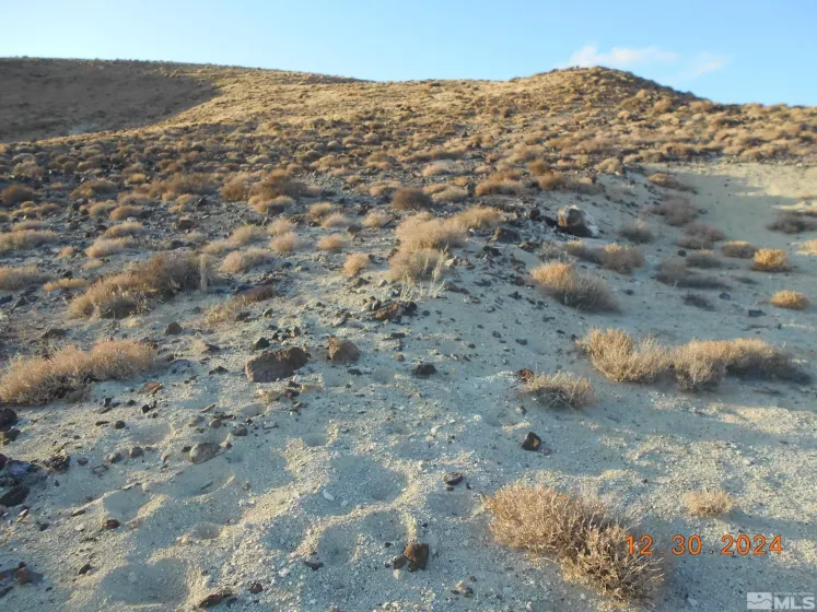 01512108 off of onyx, Silver Springs, Nevada 89429, ,Land,Residential,off of onyx,240015450