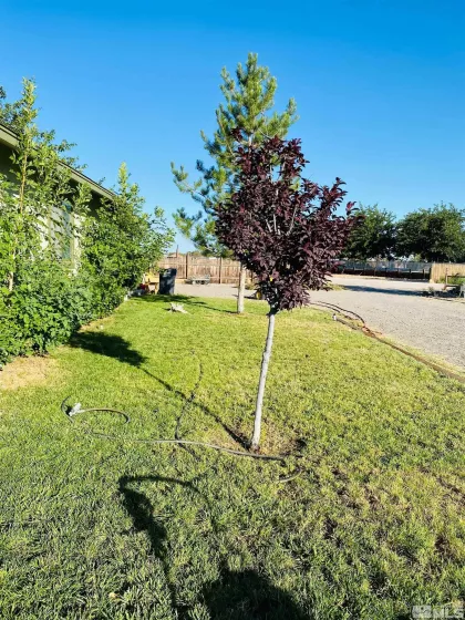 2618 RICE, Fallon, Nevada 89406, 3 Bedrooms Bedrooms, ,2 BathroomsBathrooms,Residential,Residential,RICE,250004960