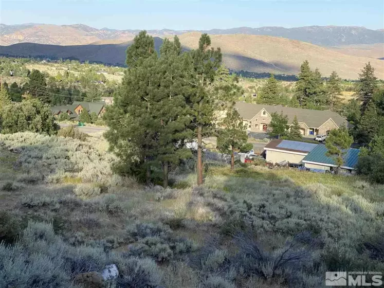 16795 Mount Rose, Reno, Nevada 89511, ,Commercial Sale,Residential,Mount Rose,200009553
