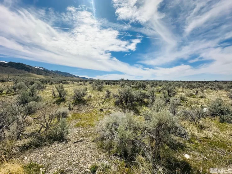 17200 Kirk, Lovelock, Nevada 89419, ,Land,Residential,Kirk,250005043