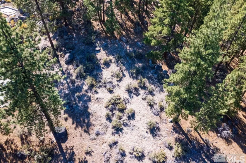 282 Gray Mill, Carson City, Nevada 89705, ,Land,Residential,Gray Mill,250004610
