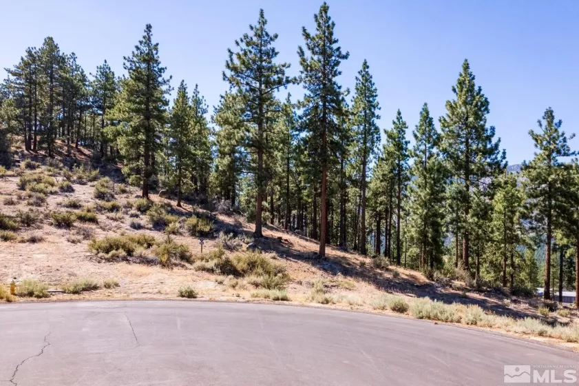 282 Gray Mill, Carson City, Nevada 89705, ,Land,Residential,Gray Mill,250004610