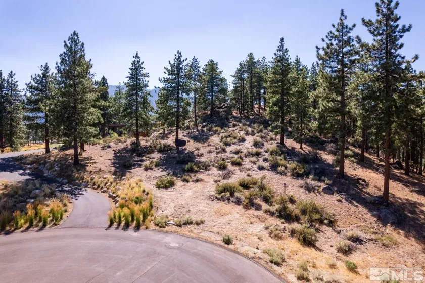 282 Gray Mill, Carson City, Nevada 89705, ,Land,Residential,Gray Mill,250004610