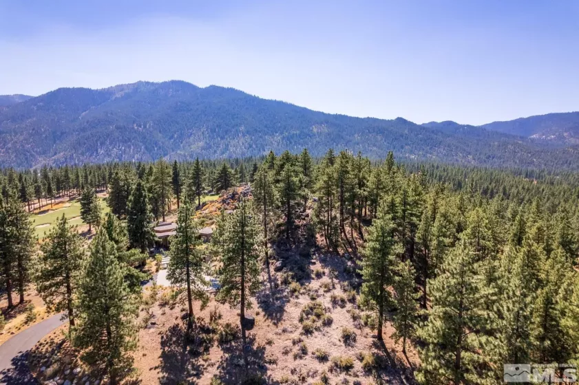 282 Gray Mill, Carson City, Nevada 89705, ,Land,Residential,Gray Mill,250004610