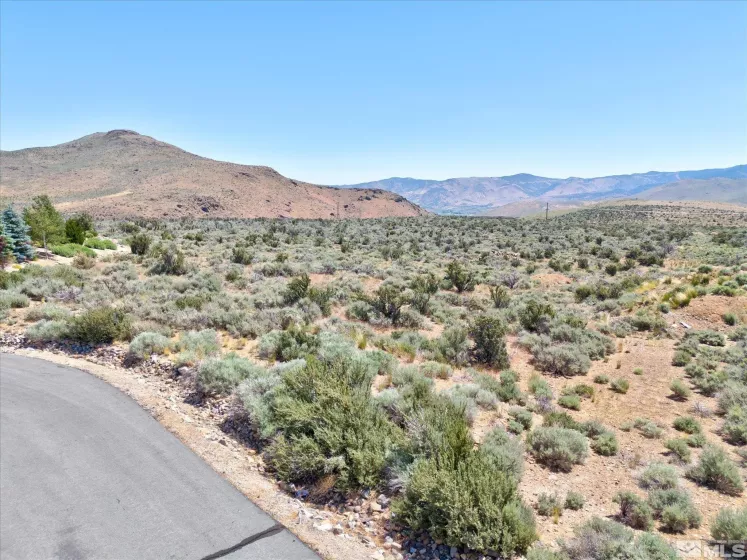 230 Shepherds Bush, Reno, Nevada 89511, ,Land,Residential,Shepherds Bush,230013263