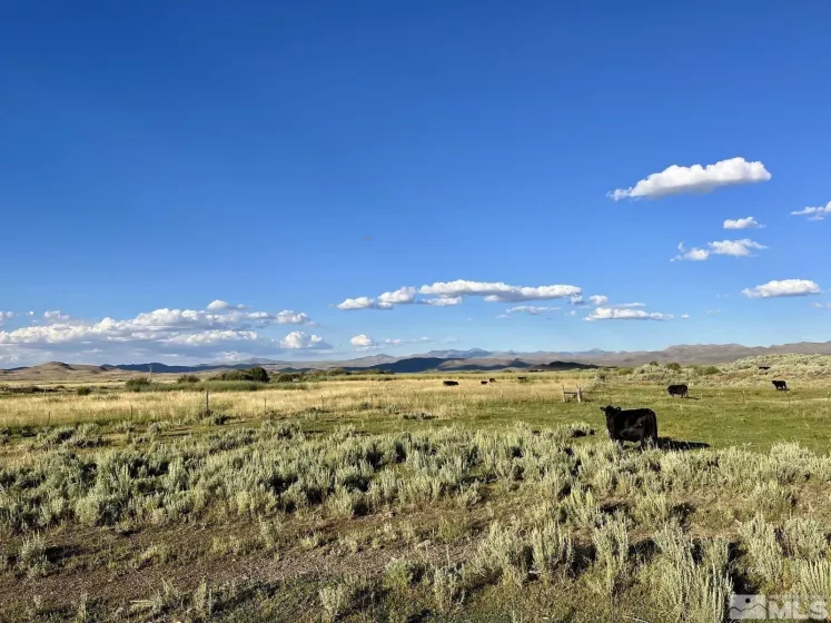 Wildhorse, Elko, Nevada 89831, 3 Bedrooms Bedrooms, ,2 BathroomsBathrooms,Farm & Ranch,Residential,Wildhorse,250004061