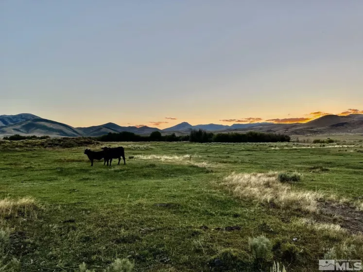 Wildhorse, Elko, Nevada 89831, 3 Bedrooms Bedrooms, ,2 BathroomsBathrooms,Farm & Ranch,Residential,Wildhorse,250004061