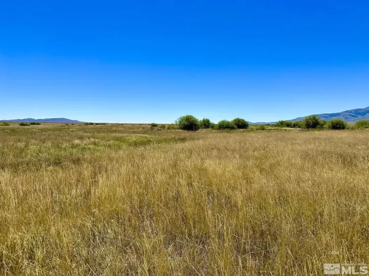 Wildhorse, Elko, Nevada 89831, 3 Bedrooms Bedrooms, ,2 BathroomsBathrooms,Farm & Ranch,Residential,Wildhorse,250004061