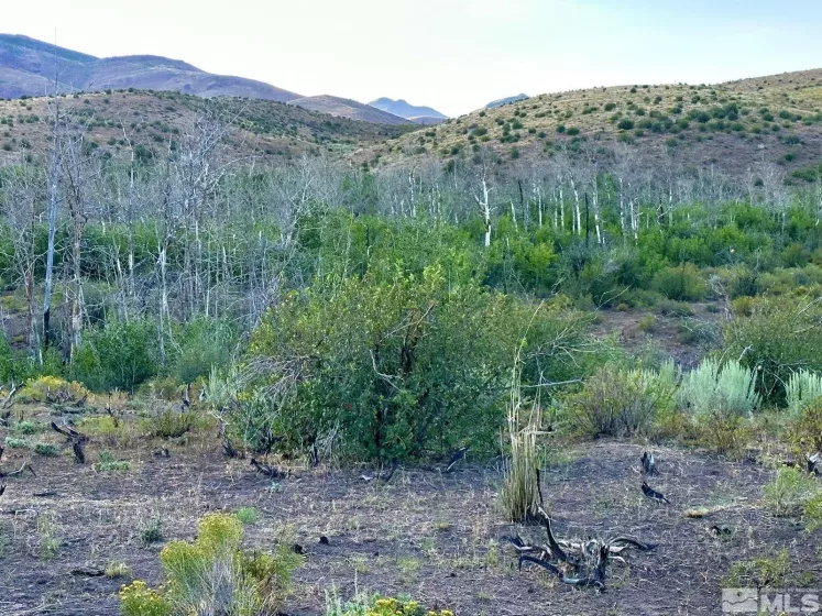Wildhorse, Elko, Nevada 89831, 3 Bedrooms Bedrooms, ,2 BathroomsBathrooms,Farm & Ranch,Residential,Wildhorse,250004061
