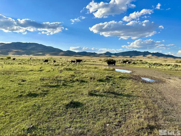Wildhorse, Elko, Nevada 89831, 3 Bedrooms Bedrooms, ,2 BathroomsBathrooms,Farm & Ranch,Residential,Wildhorse,250004061