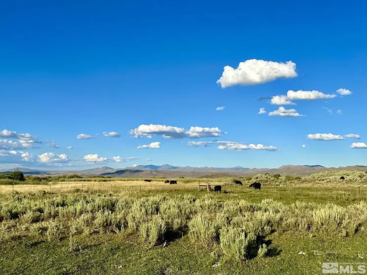 Wildhorse, Elko, Nevada 89831, 3 Bedrooms Bedrooms, ,2 BathroomsBathrooms,Farm & Ranch,Residential,Wildhorse,250004061