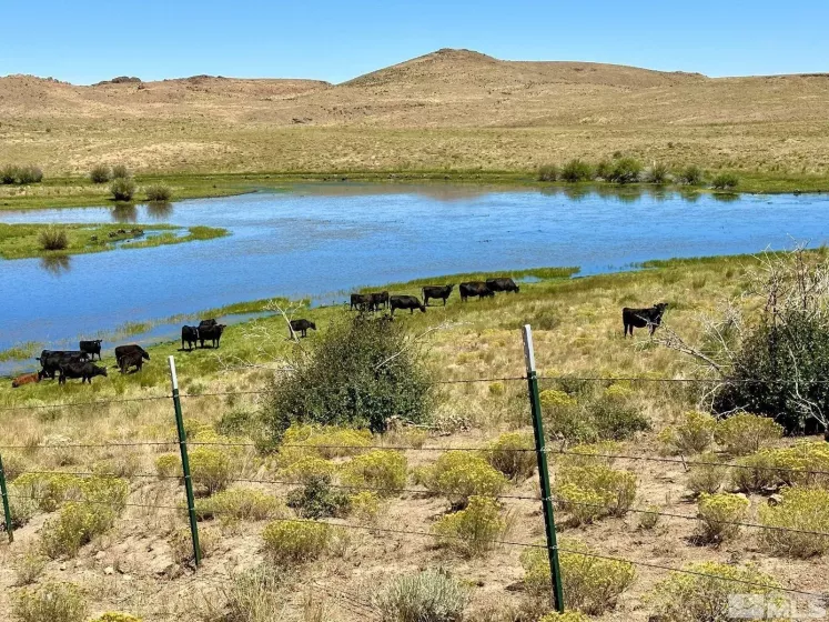 Wildhorse, Elko, Nevada 89831, 3 Bedrooms Bedrooms, ,2 BathroomsBathrooms,Farm & Ranch,Residential,Wildhorse,250004061