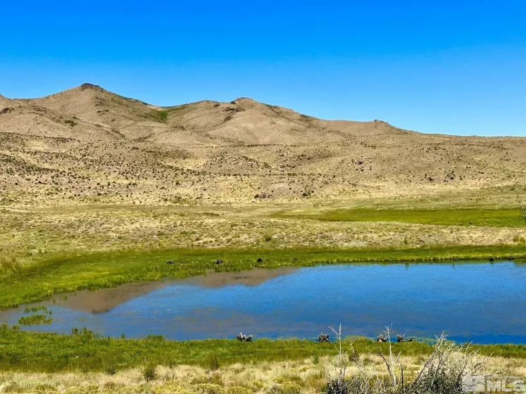 Wildhorse, Elko, Nevada 89831, 3 Bedrooms Bedrooms, ,2 BathroomsBathrooms,Farm & Ranch,Residential,Wildhorse,250004061