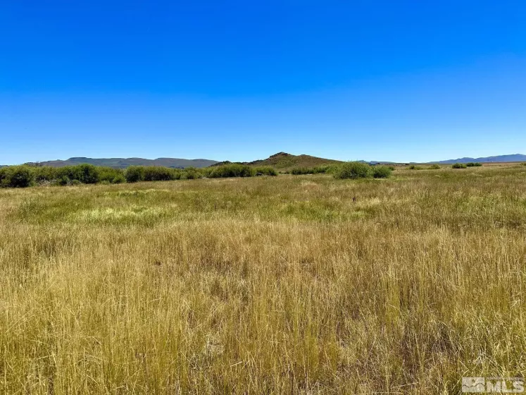 Wildhorse, Elko, Nevada 89831, 3 Bedrooms Bedrooms, ,2 BathroomsBathrooms,Farm & Ranch,Residential,Wildhorse,250004061