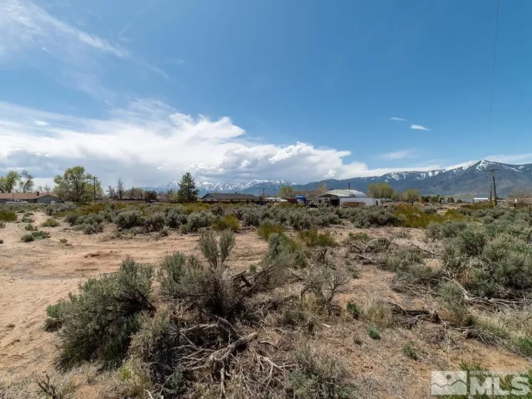 1354 Stephanie, Minden, Nevada 89423, ,Land,Residential,Stephanie,250004973