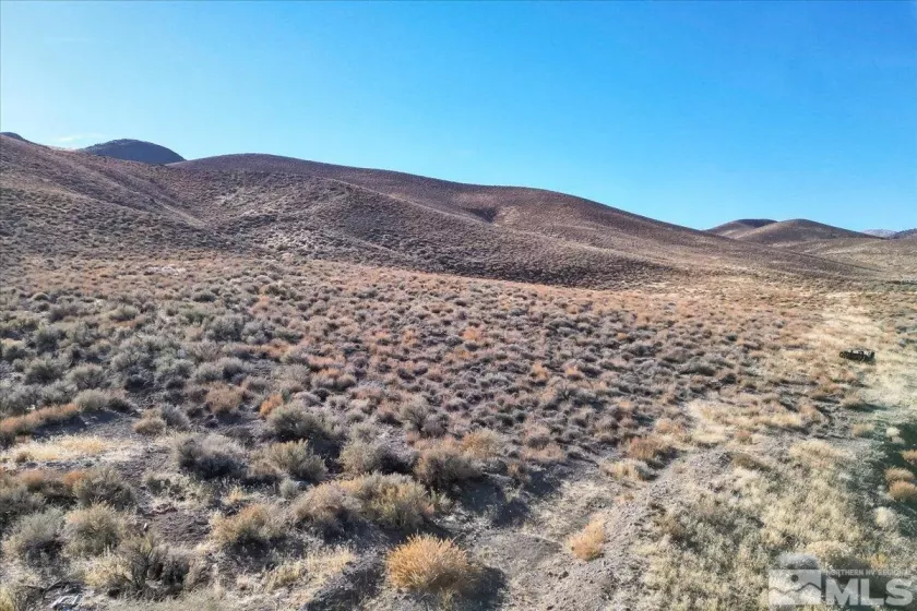 2919 State Route 208, Wellington, Nevada 89444, ,Land,Residential,State Route 208,240015061
