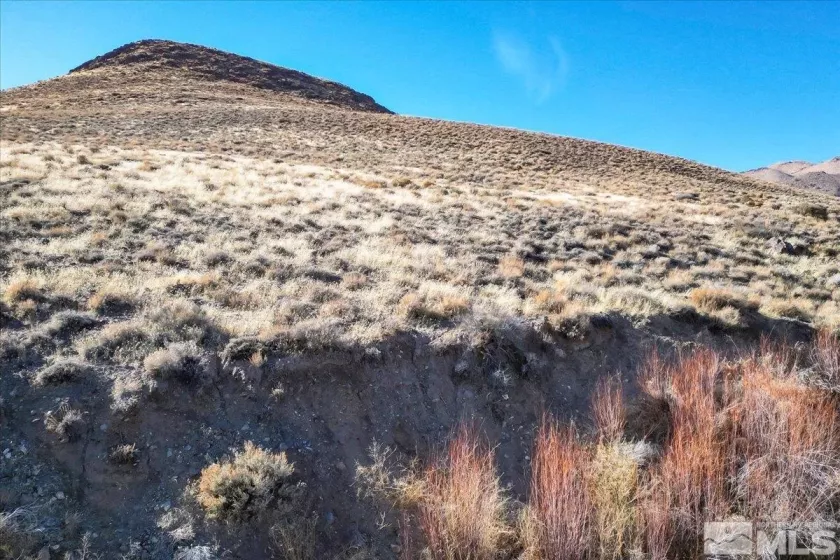 2919 State Route 208, Wellington, Nevada 89444, ,Land,Residential,State Route 208,240015061