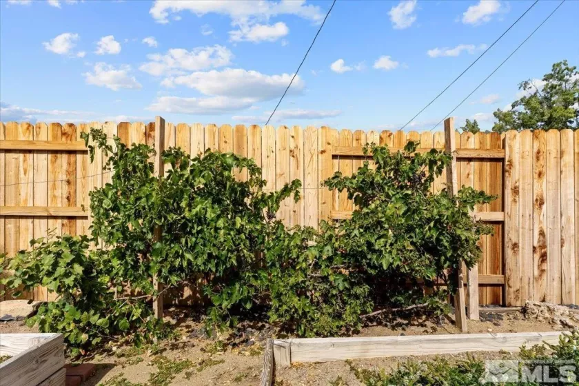1180 Xman, Sparks, Nevada 89431, 3 Bedrooms Bedrooms, ,1 BathroomBathrooms,Residential,Residential,Xman,240013113
