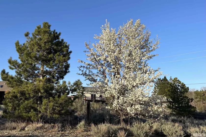 15290 Cherrywood, Reno, Nevada 89511, 3 Bedrooms Bedrooms, ,2 BathroomsBathrooms,Residential,Residential,Cherrywood,250004502