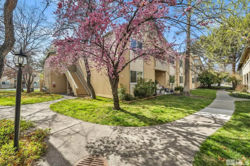 2300 Dickerson, Reno, Nevada 89503, 2 Bedrooms Bedrooms, ,2 BathroomsBathrooms,Residential,Residential,Dickerson,250004155