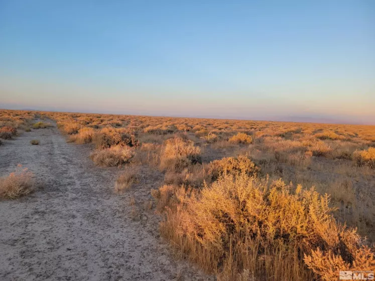 12017 Powerline, Fallon, Nevada 89406, ,Land,Residential,Powerline,250001451