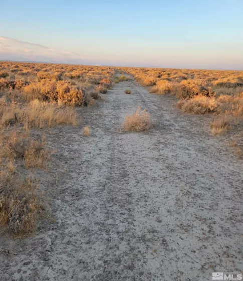 12017 Powerline, Fallon, Nevada 89406, ,Land,Residential,Powerline,250001451