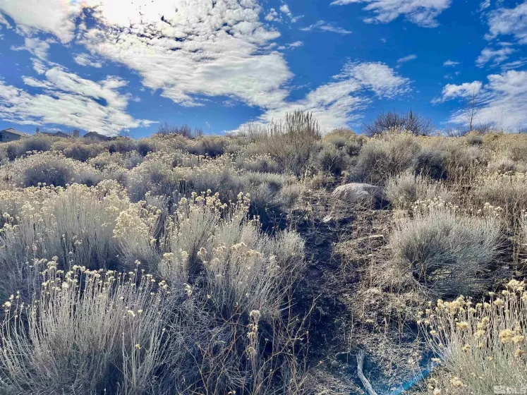 2815 Lakeridge, Reno, Nevada 89519, ,Land,Residential,Lakeridge,250001365