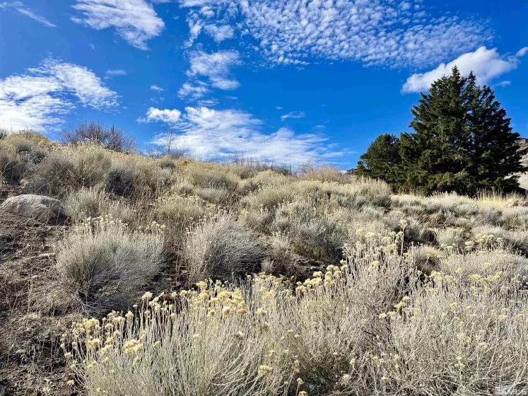 2815 Lakeridge, Reno, Nevada 89519, ,Land,Residential,Lakeridge,250001365