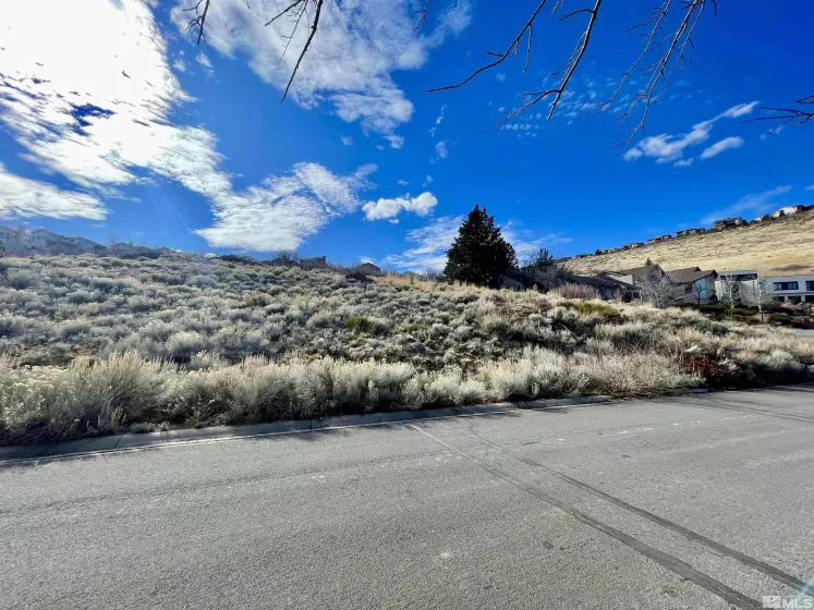 2815 Lakeridge, Reno, Nevada 89519, ,Land,Residential,Lakeridge,250001365