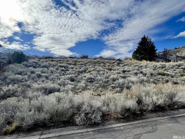 2815 Lakeridge, Reno, Nevada 89519, ,Land,Residential,Lakeridge,250001365