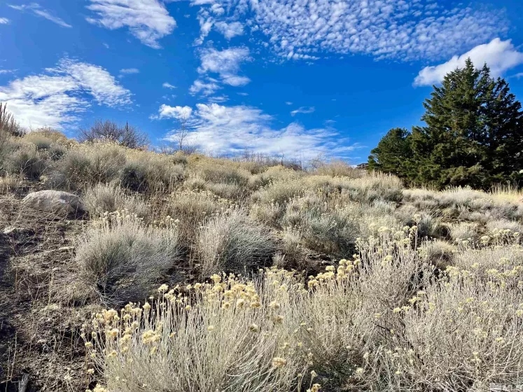 2815 Lakeridge, Reno, Nevada 89519, ,Land,Residential,Lakeridge,250001365