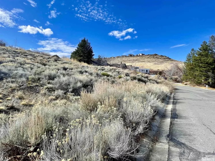 2815 Lakeridge, Reno, Nevada 89519, ,Land,Residential,Lakeridge,250001365