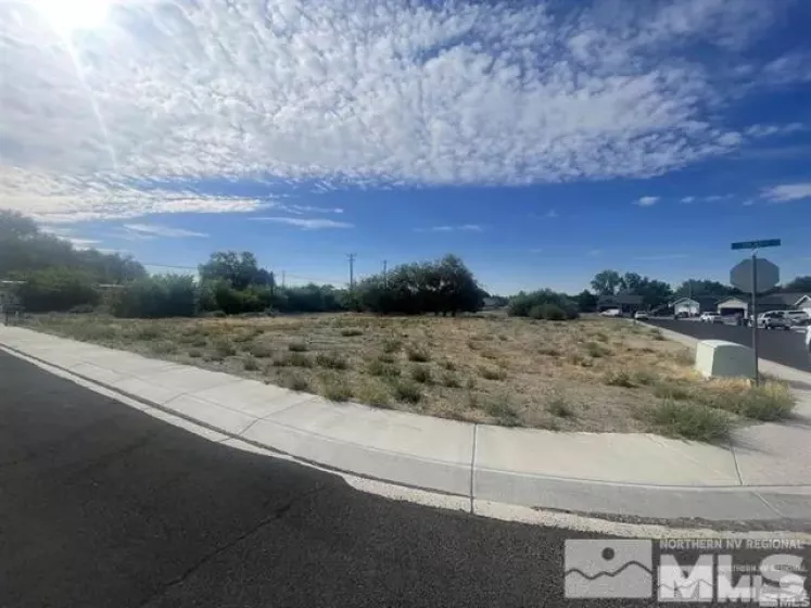 321 Silver Spur, Fallon, Nevada 89406, ,Land,Residential,Silver Spur,240014925