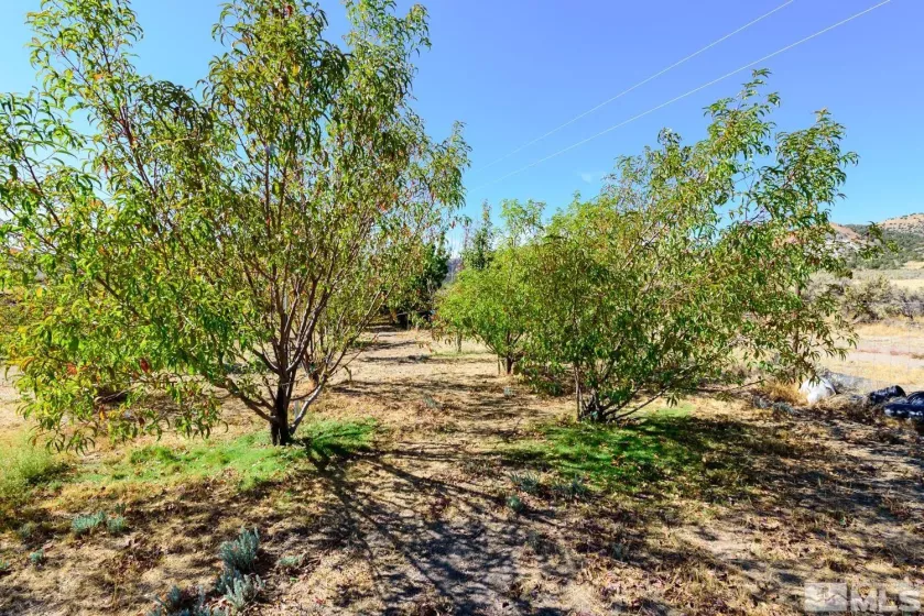 500 Clydesdale, Reno, Nevada 89508, ,Land,Residential,Clydesdale,250004691