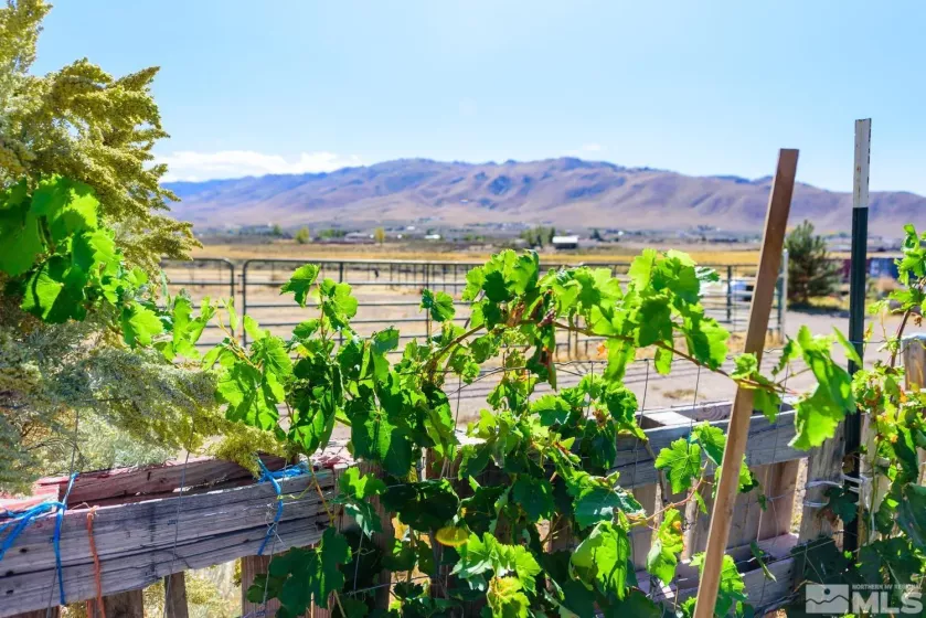 500 Clydesdale, Reno, Nevada 89508, ,Land,Residential,Clydesdale,250004691