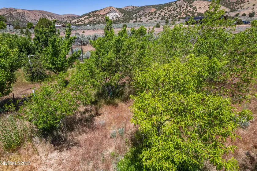 500 Clydesdale, Reno, Nevada 89508, ,Land,Residential,Clydesdale,250004691