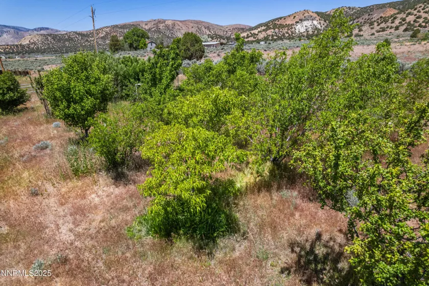 500 Clydesdale, Reno, Nevada 89508, ,Land,Residential,Clydesdale,250004691