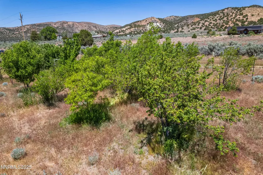 500 Clydesdale, Reno, Nevada 89508, ,Land,Residential,Clydesdale,250004691