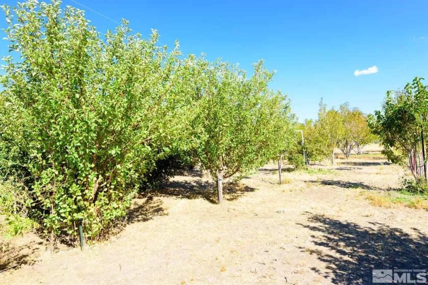 500 Clydesdale, Reno, Nevada 89508, ,Land,Residential,Clydesdale,250004691