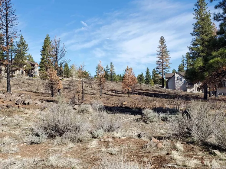 485 Mount Mahogany, Reno, Nevada 89511, ,Land,Residential,Mount Mahogany,250004685