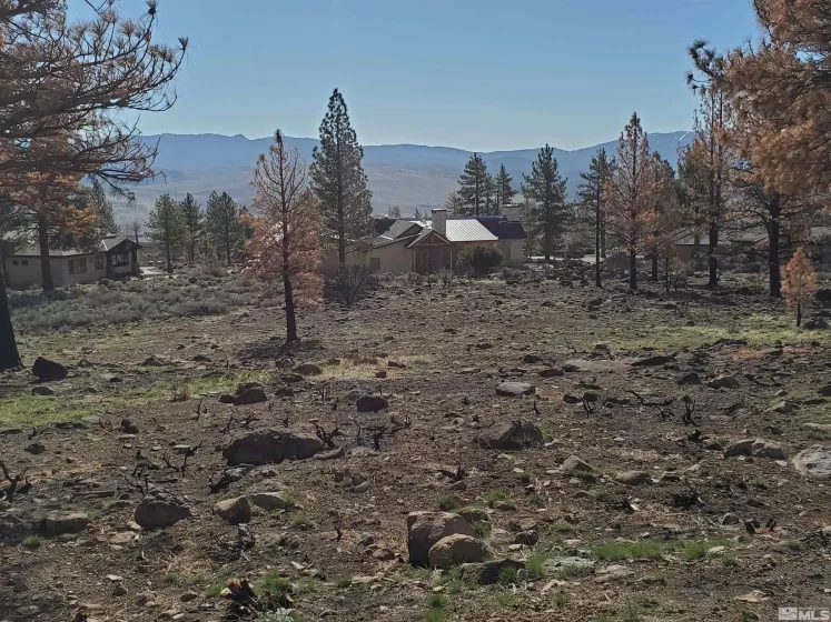 485 Mount Mahogany, Reno, Nevada 89511, ,Land,Residential,Mount Mahogany,250004685